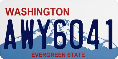 WA license plate AWY6041
