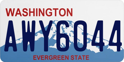 WA license plate AWY6044
