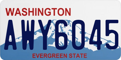 WA license plate AWY6045