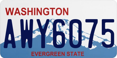 WA license plate AWY6075