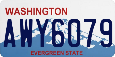 WA license plate AWY6079