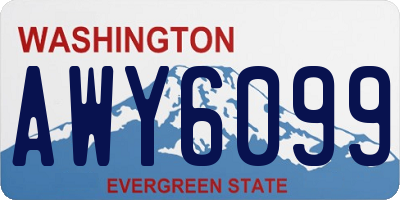 WA license plate AWY6099