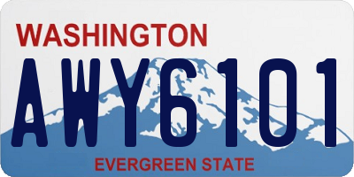 WA license plate AWY6101
