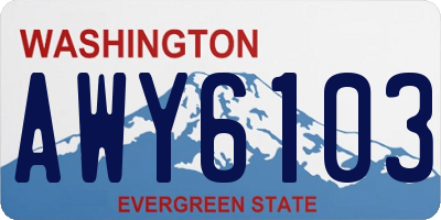 WA license plate AWY6103
