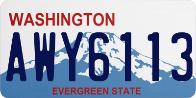 WA license plate AWY6113