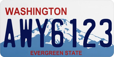 WA license plate AWY6123