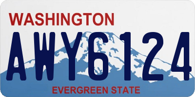 WA license plate AWY6124