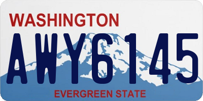WA license plate AWY6145