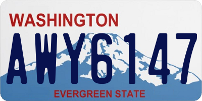 WA license plate AWY6147