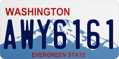 WA license plate AWY6161