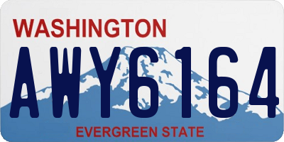 WA license plate AWY6164