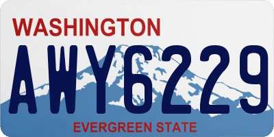 WA license plate AWY6229