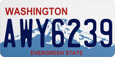 WA license plate AWY6239