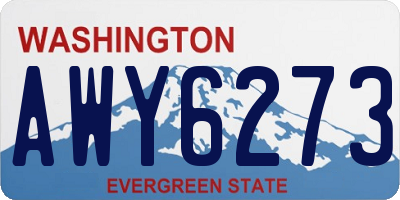WA license plate AWY6273