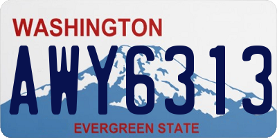 WA license plate AWY6313