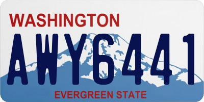 WA license plate AWY6441
