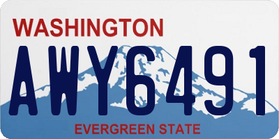 WA license plate AWY6491