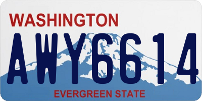 WA license plate AWY6614