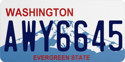 WA license plate AWY6645