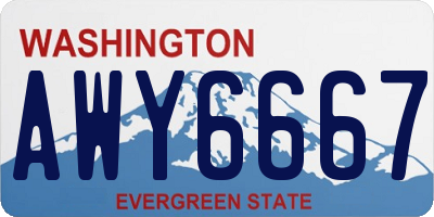 WA license plate AWY6667