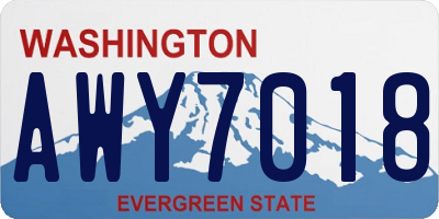 WA license plate AWY7018
