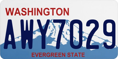 WA license plate AWY7029