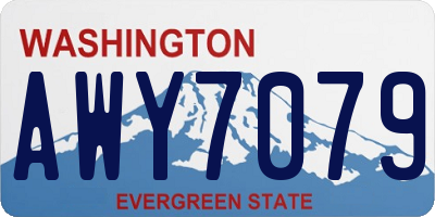 WA license plate AWY7079