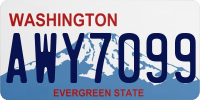 WA license plate AWY7099