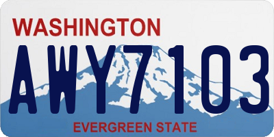 WA license plate AWY7103
