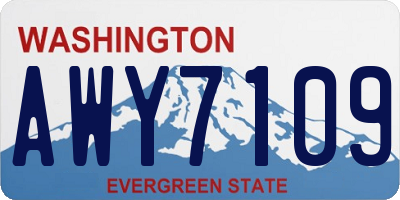 WA license plate AWY7109