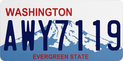 WA license plate AWY7119