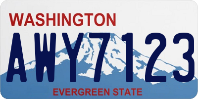 WA license plate AWY7123