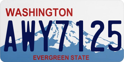 WA license plate AWY7125
