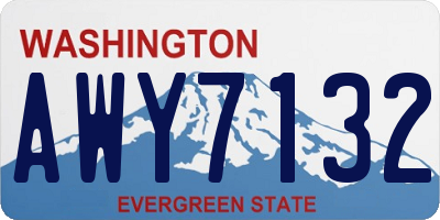 WA license plate AWY7132
