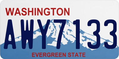 WA license plate AWY7133