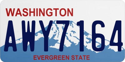WA license plate AWY7164