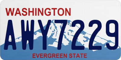 WA license plate AWY7229