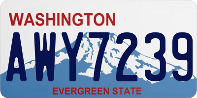 WA license plate AWY7239