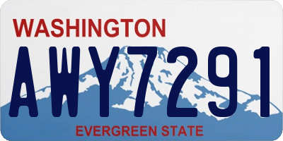 WA license plate AWY7291