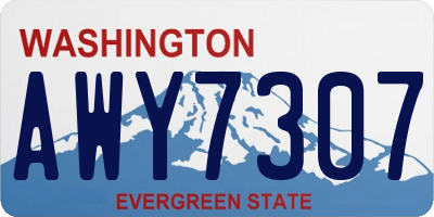 WA license plate AWY7307