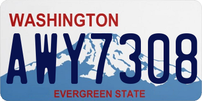 WA license plate AWY7308