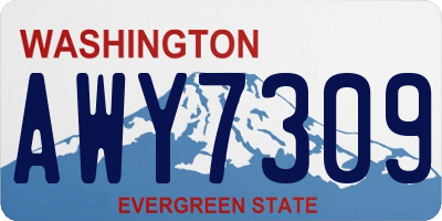 WA license plate AWY7309