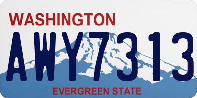 WA license plate AWY7313