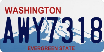 WA license plate AWY7318