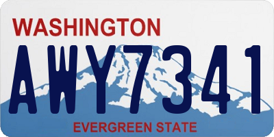 WA license plate AWY7341