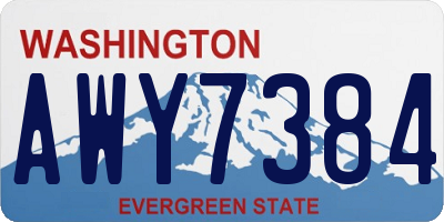 WA license plate AWY7384