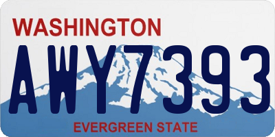 WA license plate AWY7393