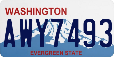 WA license plate AWY7493