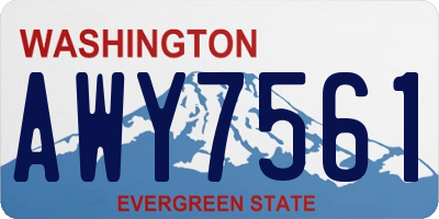 WA license plate AWY7561