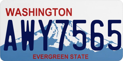WA license plate AWY7565